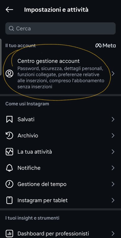 Instagram settings, with Centro gestione account circled