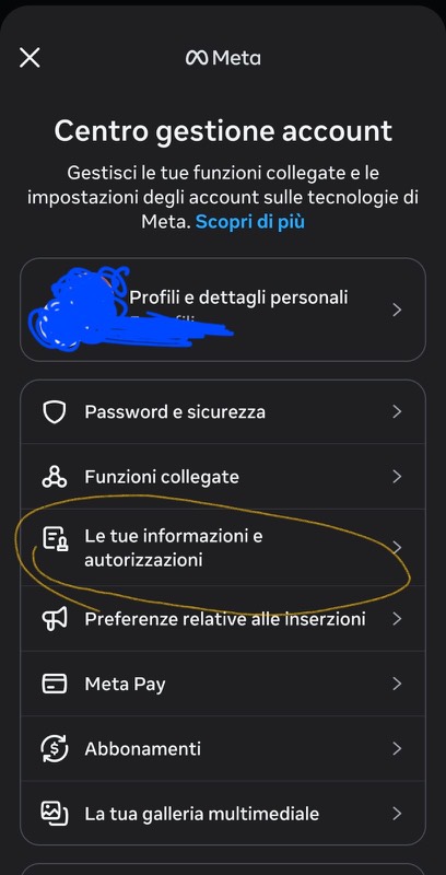 Accounts Centre, with Le tue informazioni e autorizzazioni circled