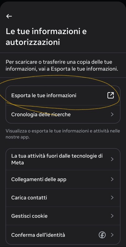 Your information and permissions, with Esporta le tue informazioni circled