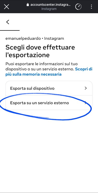 Choose where to export, with Esporta su un servizio esterno circled